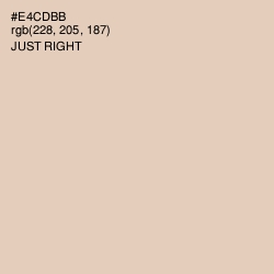#E4CDBB - Just Right Color Image